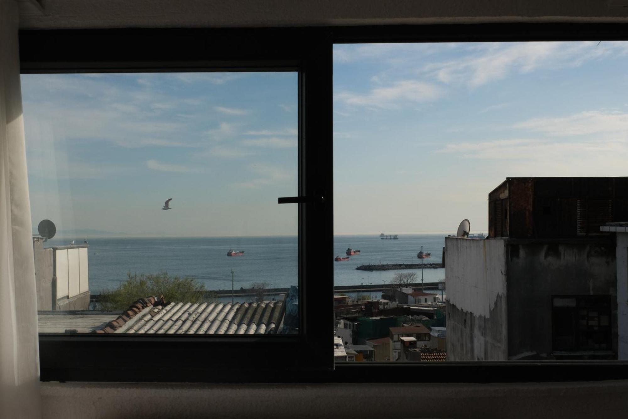 The Palm Suits - Istanbul — Fotos 2